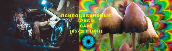 ПСИЛОЦИБИНОВЫЕ ГРИБЫ Бородино